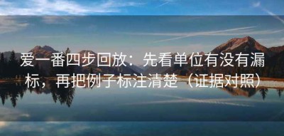 爱一番四步回放：先看单位有没有漏标，再把例子标注清楚（证据对照）