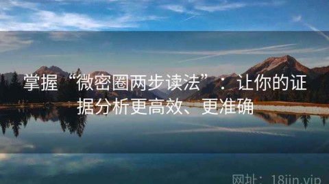 掌握“微密圈两步读法”：让你的证据分析更高效、更准确