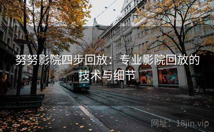努努影院四步回放:专业影院回放的技术与细节 努努影院四步回放:专业影院回放的技术与细节