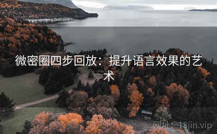 微密圈四步回放：提升语言效果的艺术