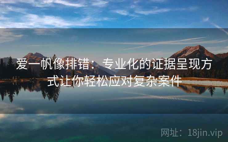 爱一帆像排错：专业化的证据呈现方式让你轻松应对复杂案件
